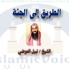 08- طريق بر الوالدين