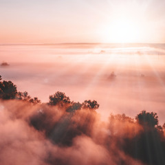 His Mercies Are Renewed Every Morning