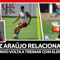 LUIZ ARAÚJO RELACIONADO | MATHEUZINHO TREINA COM ELENCO DO FLA | INGRESSOS PARA FLAMENGO X PALMEIRAS