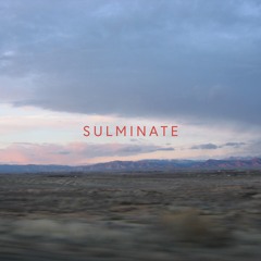 Sulminate - guinæpig (free download)