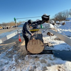 Milling the Urban Tree