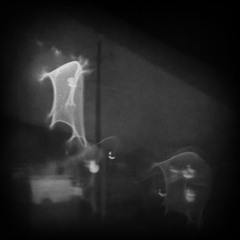Confined