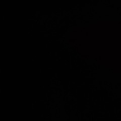 كله ع العادي