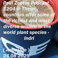 Paul Zentos Podcast 1204 @ These countries offer some of the richest and most diverse wildlife in the world plant species - Indri ( Andasibe ) 24 08 2025