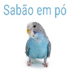 SETS QUE SÃO PENSADOS