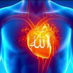Zikr Allah "40 Minit" - Allah Will Destroy Your Bad Lust, Bad Desires & Anger (Insya Allah)