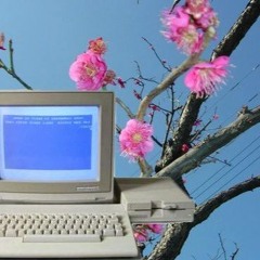 Yung Cup (prod.eenigma)