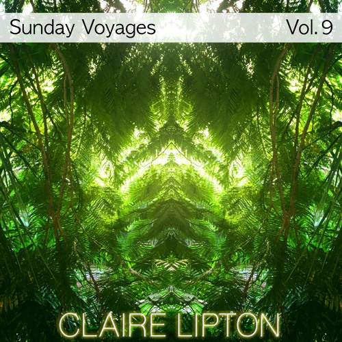 Sunday Voyages Vol. 9