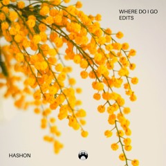 Where Do I Go (feat. Mikara) [slowed & reverbed]
