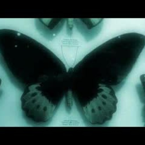 Stream silhouette pastel ghost best part loop (sped up) by Garrus