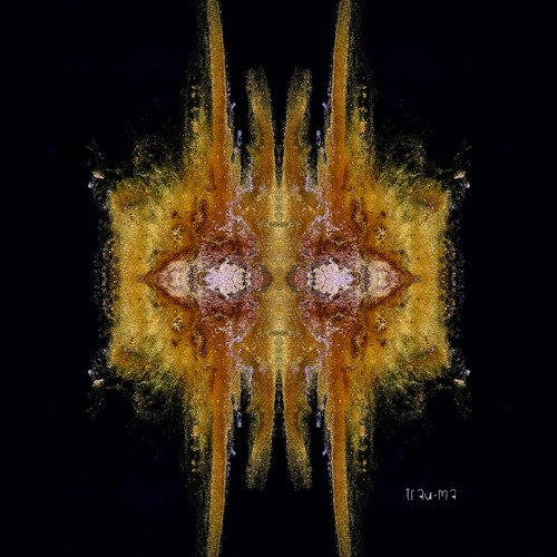 Mayfie - Letting Go [Premiere I TRM324]