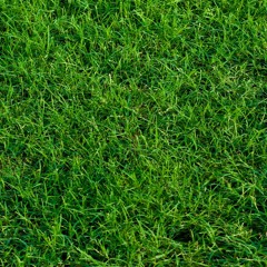 i hate me (prod. agnarkea)