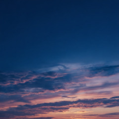 Tyla-Chanel (Tech House Edit)