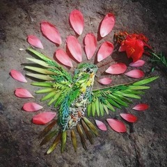 Colibri Florecido - Cover Irina Florez