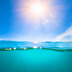 Summer Sun