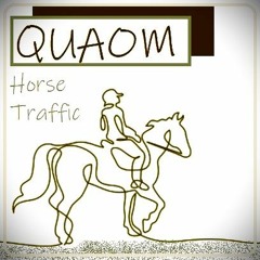 Horse Traffic