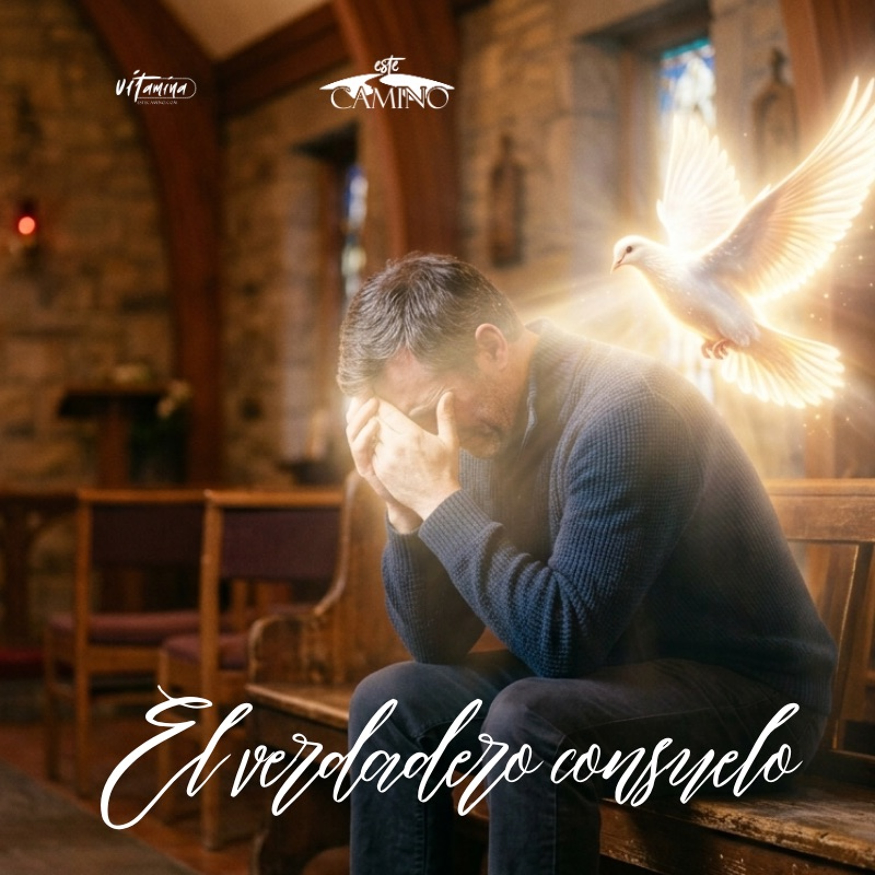 El verdadero consuelo, Bruno Gentina episode artwork