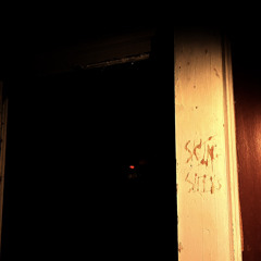 Signal Fog -(voice memo)