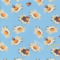 BEES (tyler-flowerboy type)