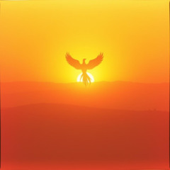 Rise Again
