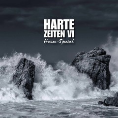 HARTE ZEITEN VI by Birkenlauber (House-Special)