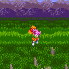 {V2} Sonic 3: Reloaded - Marble Garden Act 1