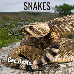 Snakes