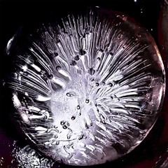 Jo.Light - Salted Fish