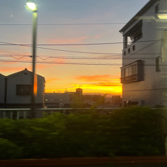 after dark - asian kung fu generation (cover)