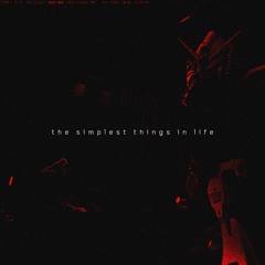 The Simplest Things In Life [Prod.Echo Alexander]