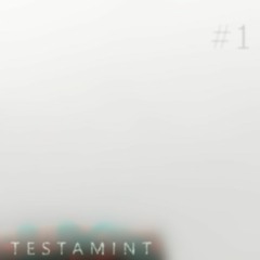 #1 Testamint