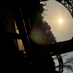 Annihilated in a Horrible Helicopter Accident or Some Shit