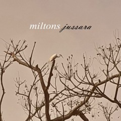 o teu corpo é o teu lugar (part. Pedro Branco).