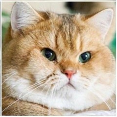 cloudrunners, the only one