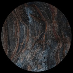 AMLTD015 - Lucas SIlvero - Human Responses