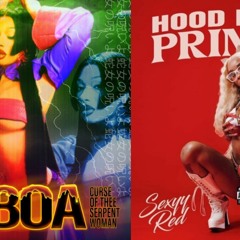 Boa x Skee Yee Song Mashup
