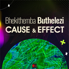 Bhekithemba Buthelezi - Cause & Effect