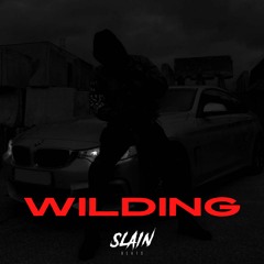 WILDING [FOR SALE]