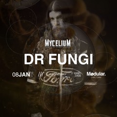 DR FUNGI - HEXAGON  MAY 21 :2025😮‍💨.wav