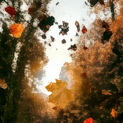 The Leaves Are Falling