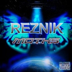 Reznik - Moths