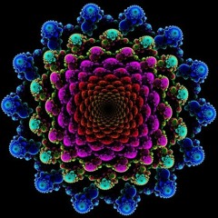 Animals and other people 149