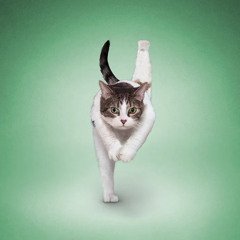 On the Go (margo + renoncemtn)