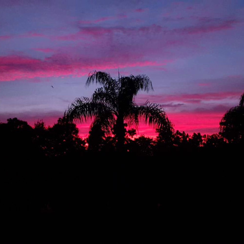 night vibes