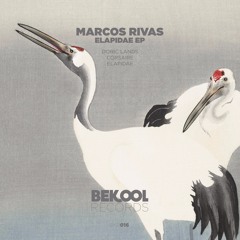 Marcos Rivas - Elapidae (Original Mix)