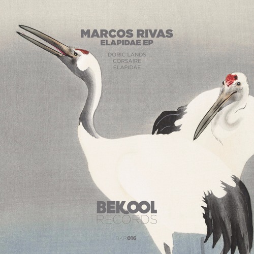 Marcos Rivas - Doric Lands (Original Mix)