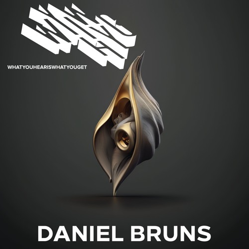 What You Hear Is What You Get 001 - Daniel Bruns [WYHIWYG001]
