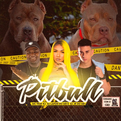 MC THAY RJ - POZE PITBULL ( DJ´S JR DO MD & LAFON ) #TROPADOSABÍO