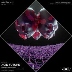 APOLLION - ACID FUTURE (Joshua Tu (杜璟瑜) Remix)
