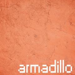armadillo [slow techno acid house wonky chuggy disco dj mix]